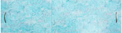 Ваннбок Класс 170 (голубая каменная кладка)