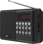 Ritmix RPR-001