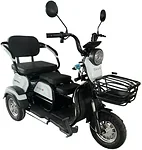 SHTENLI Model 31 SLA 20Ач48В (аккумулятор 4шт 20Ач12В)