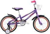Welt Pony 16 (2021) Welt Pony 16 (2021)