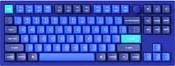 Keychron Q3 RGB Q3-O2-RU Gateron G Pro Blue
