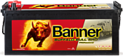 Banner Bull SHD PROfessional 645 03 (145Ah)