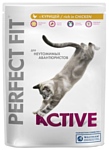 Perfect Fit Active Сухой корм с курицей (1.2 кг)