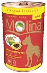 Molina Консервы для собак Цыпленок с папайей в нежном соусе (0.4 кг) 1 шт.
