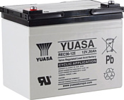 Yuasa REC36-12I /36