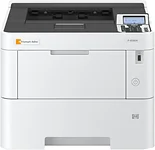 Triumph-Adler P-5534DN 110C0W3UT0