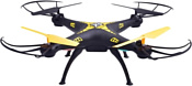 Pilotage Falcon X5 Pilotage Falcon X5