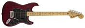 Fender Limited Edition Sandblasted Stratocaster