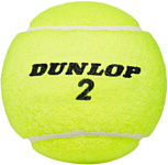 Dunlop Club All Court (4 шт)