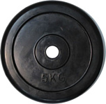 American Fitness Regular Rubber Plate 5 кг