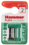Hammer 203-171 2 предмета