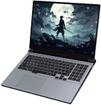 Игровой ноутбук Mechrevo Jiaolong 16 Pro