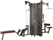 Johnson Fitness MS-40