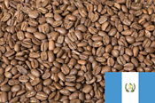 Coffee Everyday Арабика Гватемала Марагоджип в зернах 250 г