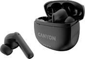 Canyon TWS-8