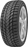 Delinte Winter WD6 215/55 R17 98H