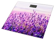 Home Element HE-SC906 Lavanda