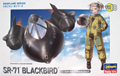 Hasegawa SR-71 Blackbird