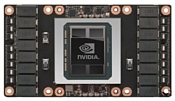 NVIDIA Tesla V100 32GB (900-2G503-0010-000)