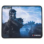 Гарнизон GMP-100