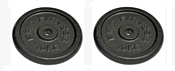 Pro fitness Cast Iron Discs - 2 x 10kg