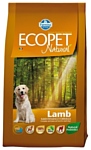 Farmina Ecopet Natural Lamb Medium (12 кг)