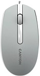 Canyon M-10 gray/white