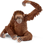 Schleich Орангутан, самка 14775
