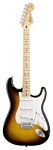 Fender Standard Stratocaster RW