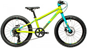 Cube Acid 200 Disc (2021) Cube Acid 200 Disc (2021)