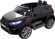 RiverToys Land-Rover Discovery Sport O111OO (черный)