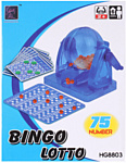 Darvish Bingo 75 шаров DV-T-1335