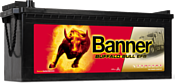 Banner Buffalo Bull EFB 690 17 (190Ah)