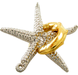 Hanayama Cast Starfish
