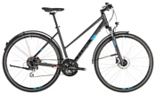 Cube Nature Allroad Trapeze (2019)