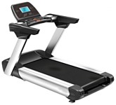 American Motion Fitness 8900T