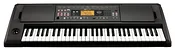 KORG EK-50 Limitless