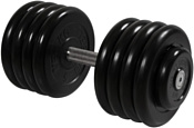 MB Barbell Профи 43.5 кг (вращающаяся ручка)