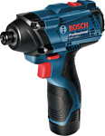 Bosch GDR 120-LI Professional 06019F0007 (с 1-им АКБ, кейс)