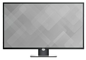 DELL P4317Q