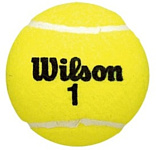 Wilson Championship Extra Duty WRT110000 (4 шт)