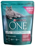 Purina ONE Для взрослых кошек с высоким содержанием Говядины и цельными злаками (0.75 кг)