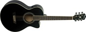 Washburn EA10B