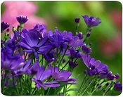 Buro BU-M20012 "Цветы"