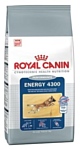 Royal Canin Energy 4300 (17 кг)