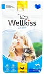 Wellkiss (0.4 кг) Курица для котят пакет