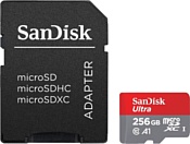 Sandisk microSDXC UHS-I 256GB (SDSQUAM-256G-GN6MA)