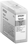 Epson C13T850900