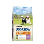 Purina Dog Chow Adult Mature ягненок 14 кг