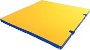 Формула здоровья С вырезом под стойки 1x1x0.1м (синий/желтый)